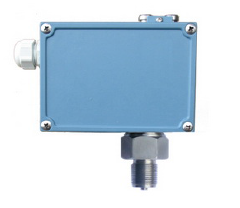 �߉���������